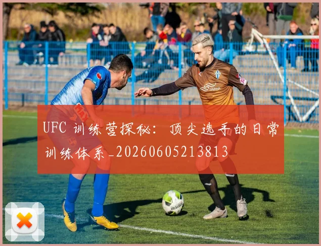 UFC 训练营探秘：顶尖选手的日常训练体系_20260605213813